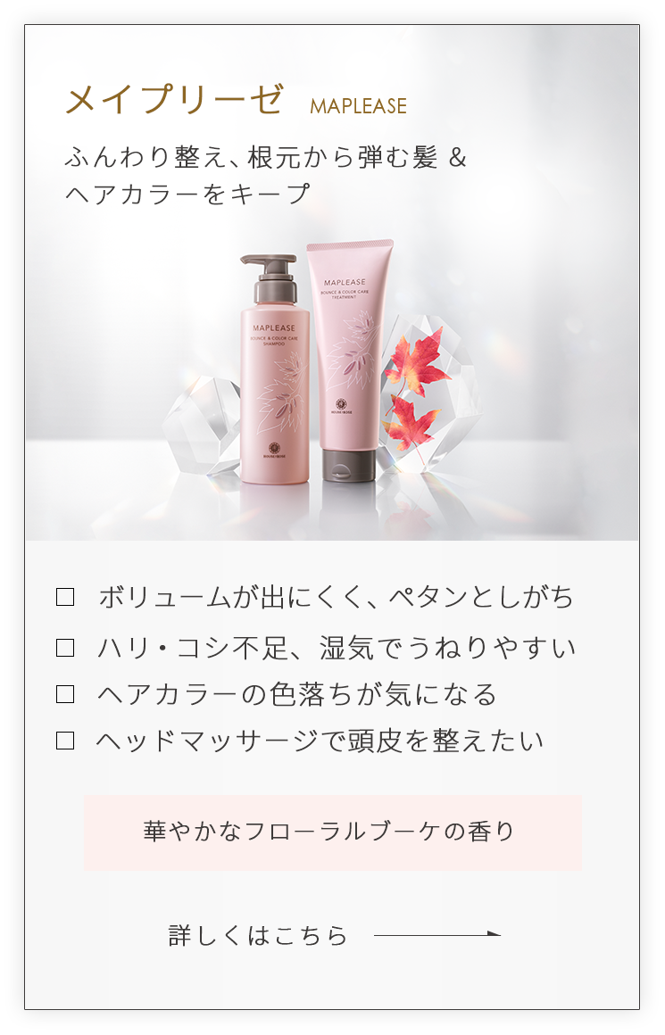 メイプリーゼメイン