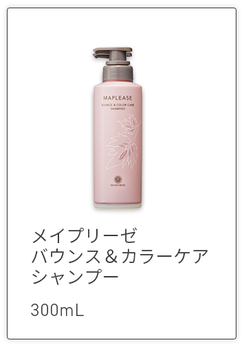 メイプリーゼ本体