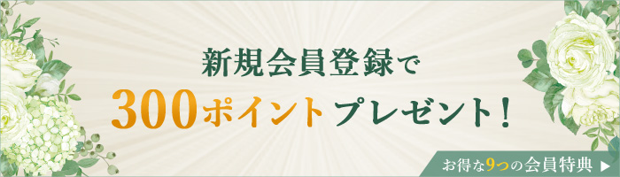 新規会員登録で300ポイント プレゼント9つ会員特典